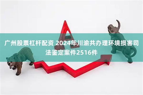 广州股票杠杆配资 2024年川渝共办理环境损害司法鉴定案件2516件